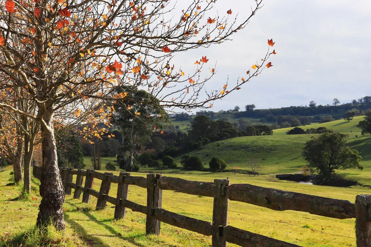 Southern Highlands scenic